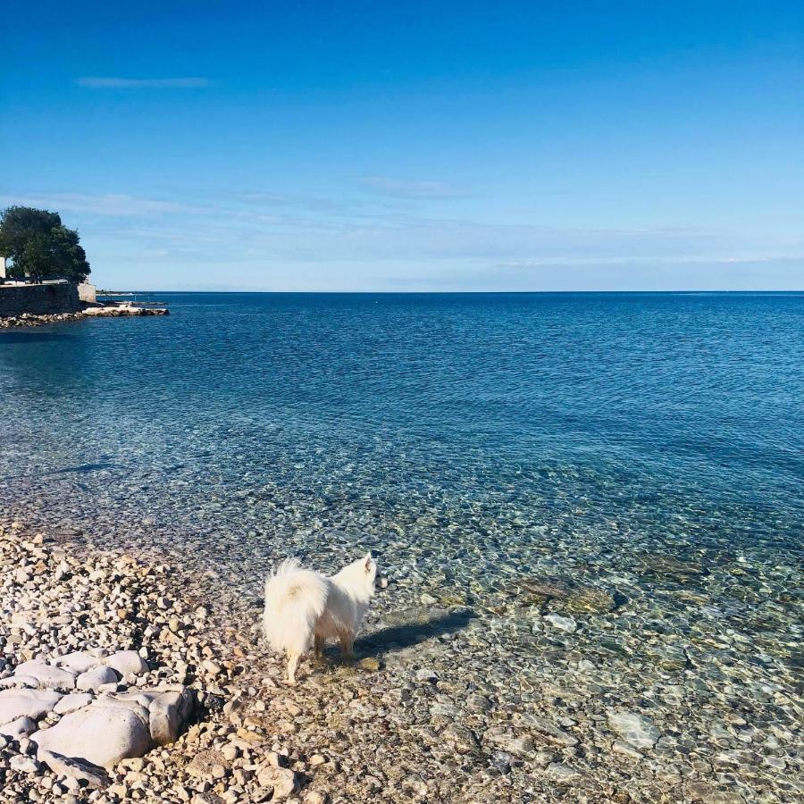 Vila Bianca Umag Eksteriør bilde